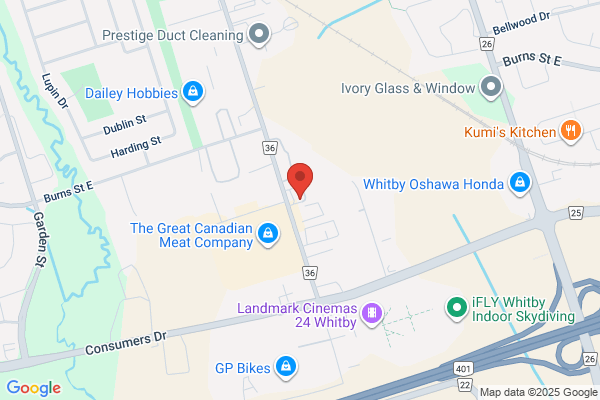 Glasvan Great Dane