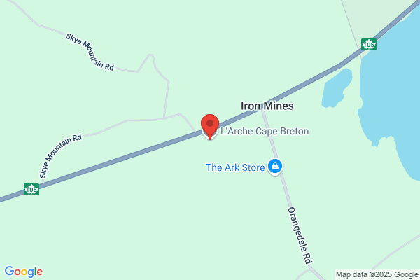 L'arche Cape Breton, Work Program, The Ark Store