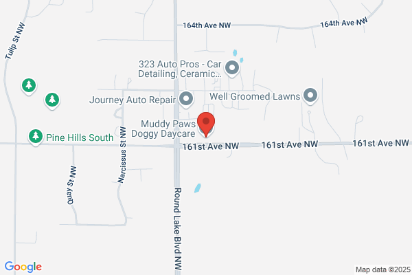 Four Muddy Paws Doggy Daycare & Spa