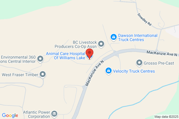 Animal Care Hospital of Williams Lake