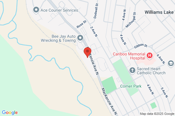 NAPA Auto Parts - W.L. Forestry Supplies Ltd