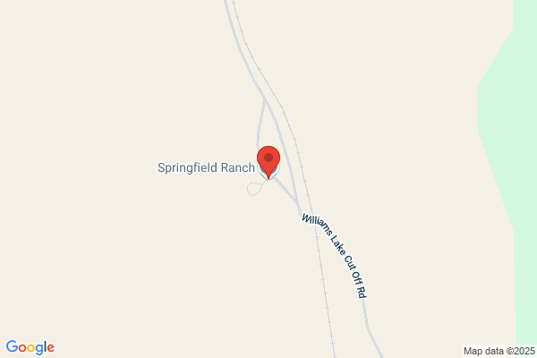 Springfield Cattle Co Ltd