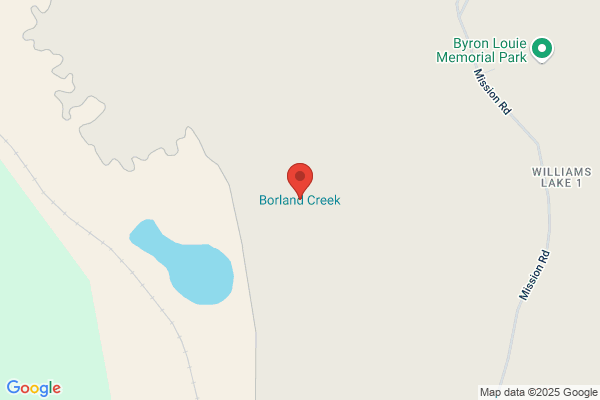 Borland Creek Brewing