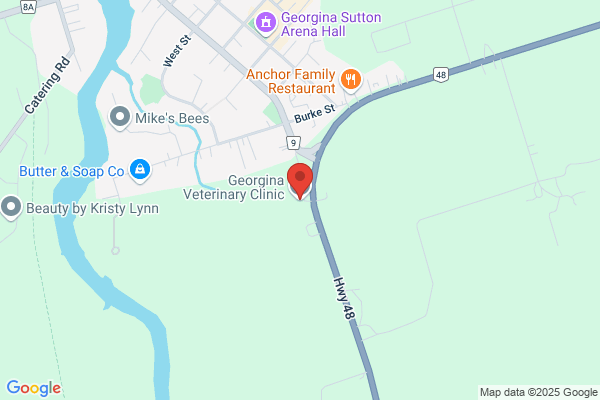 Georgina Veterinary Clinic