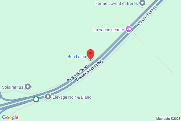 Babouches D'alain Inc