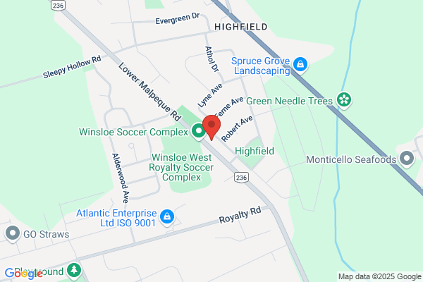 DNS Grass Cutting & Landscaping Inc.