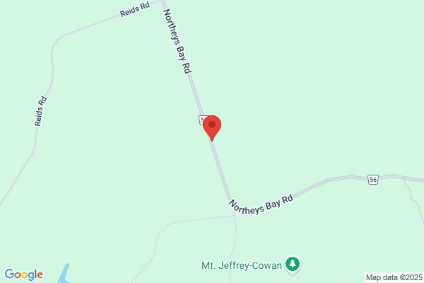 Johnson Electric