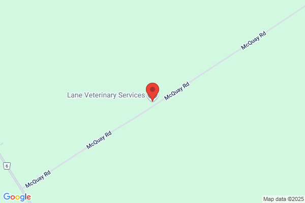 Lane Veterinary Services