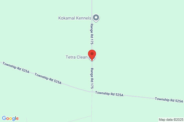 Tetra Clean Inc