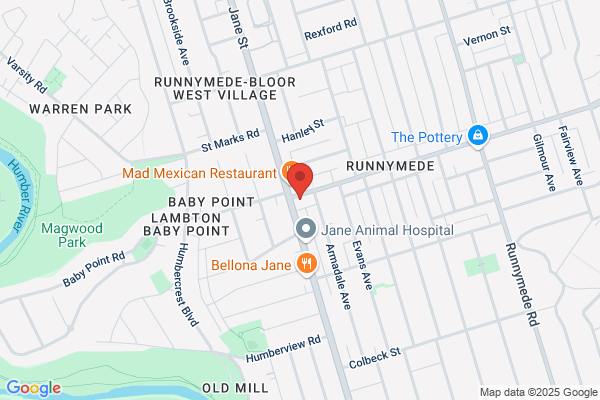 Bloor Dundas Chiropractic