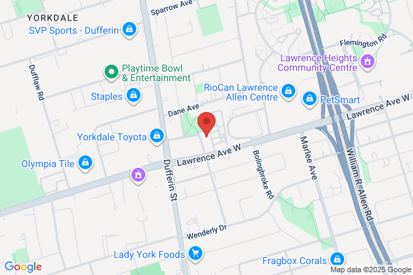 Dufferin & Lawrence Dental Office