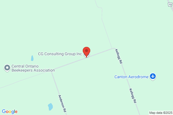 Cg Consulting Group