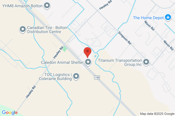 Rio Auto Repair & General Welding
