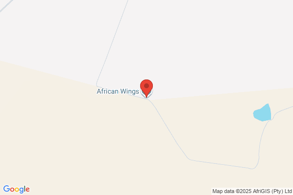 African Wings Travel & Tours