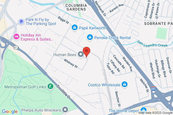 Discount Optical Labs