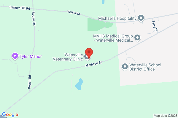 Waterville Pet Resort & Training